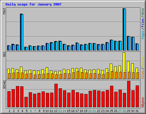 Daily usage for January 2007