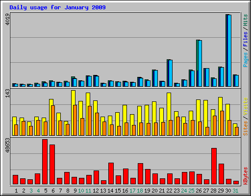 Daily usage for January 2009