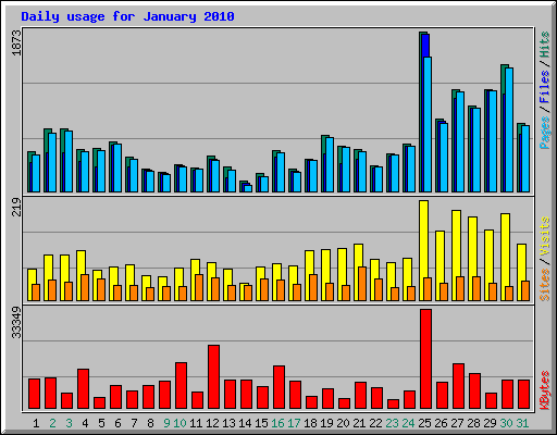 Daily usage for January 2010