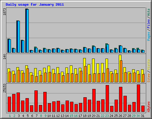 Daily usage for January 2011