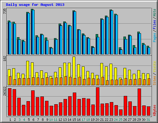 Daily usage for August 2013