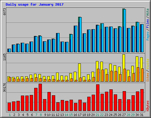 Daily usage for January 2017