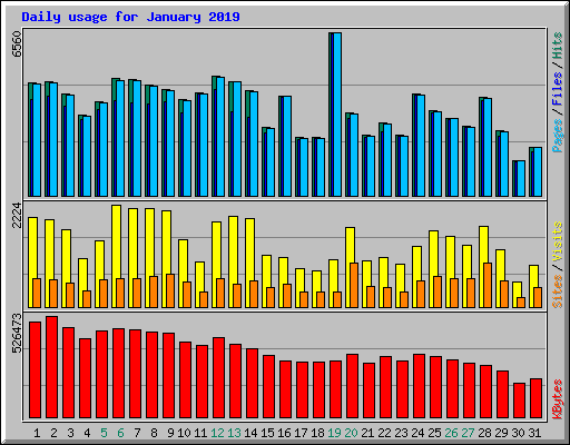 Daily usage for January 2019