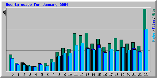 Hourly usage for January 2004