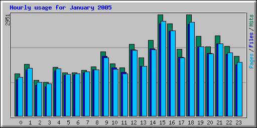 Hourly usage for January 2005