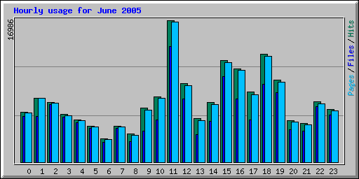 Hourly usage for June 2005