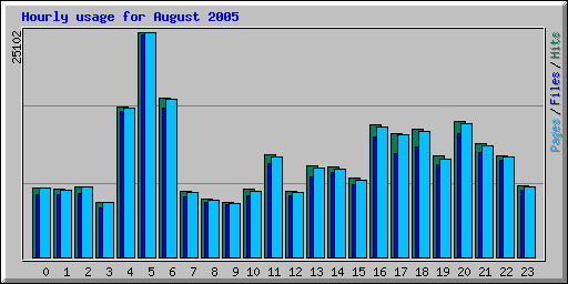 Hourly usage for August 2005