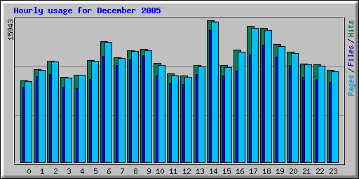 Hourly usage for December 2005