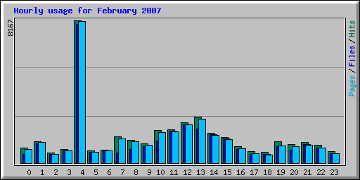 Hourly usage for February 2007