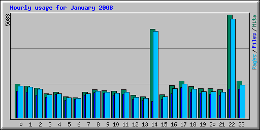 Hourly usage for January 2008