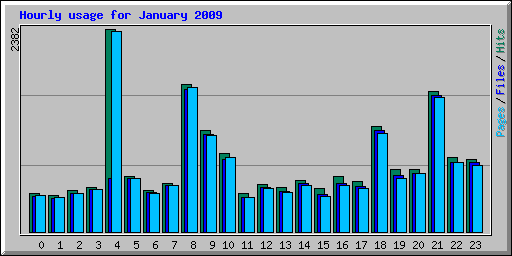 Hourly usage for January 2009