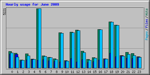 Hourly usage for June 2009
