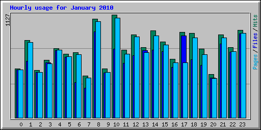 Hourly usage for January 2010