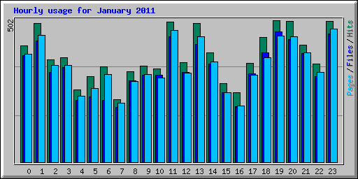 Hourly usage for January 2011