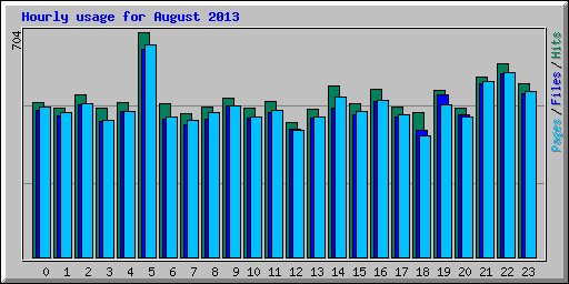 Hourly usage for August 2013