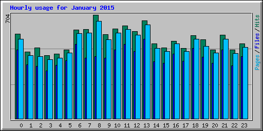 Hourly usage for January 2015