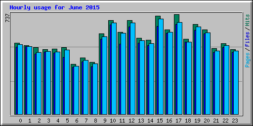 Hourly usage for June 2015