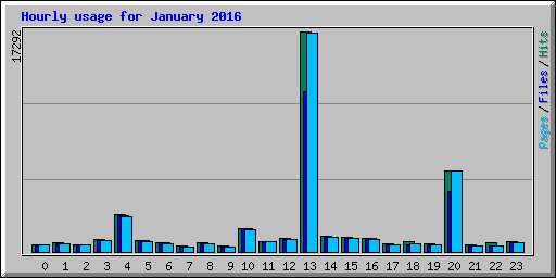 Hourly usage for January 2016