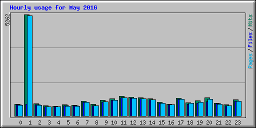 Hourly usage for May 2016