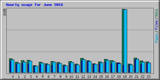 Hourly usage for June 2016