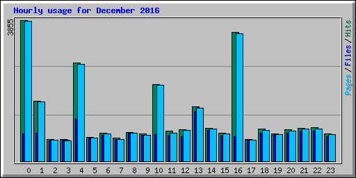 Hourly usage for December 2016