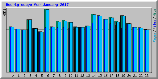 Hourly usage for January 2017