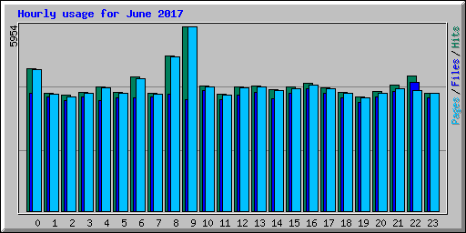 Hourly usage for June 2017