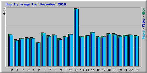 Hourly usage for December 2018