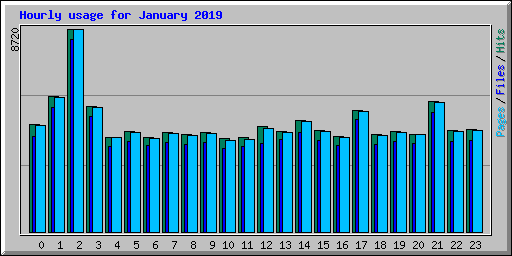 Hourly usage for January 2019