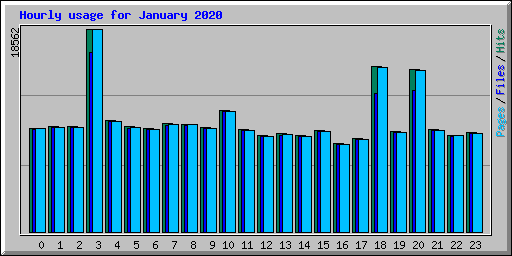 Hourly usage for January 2020