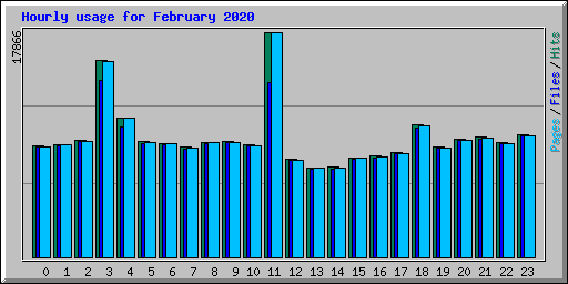 Hourly usage for February 2020